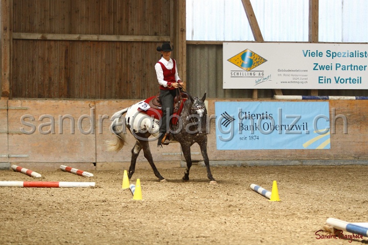 28-ApHC OT_293.jpg